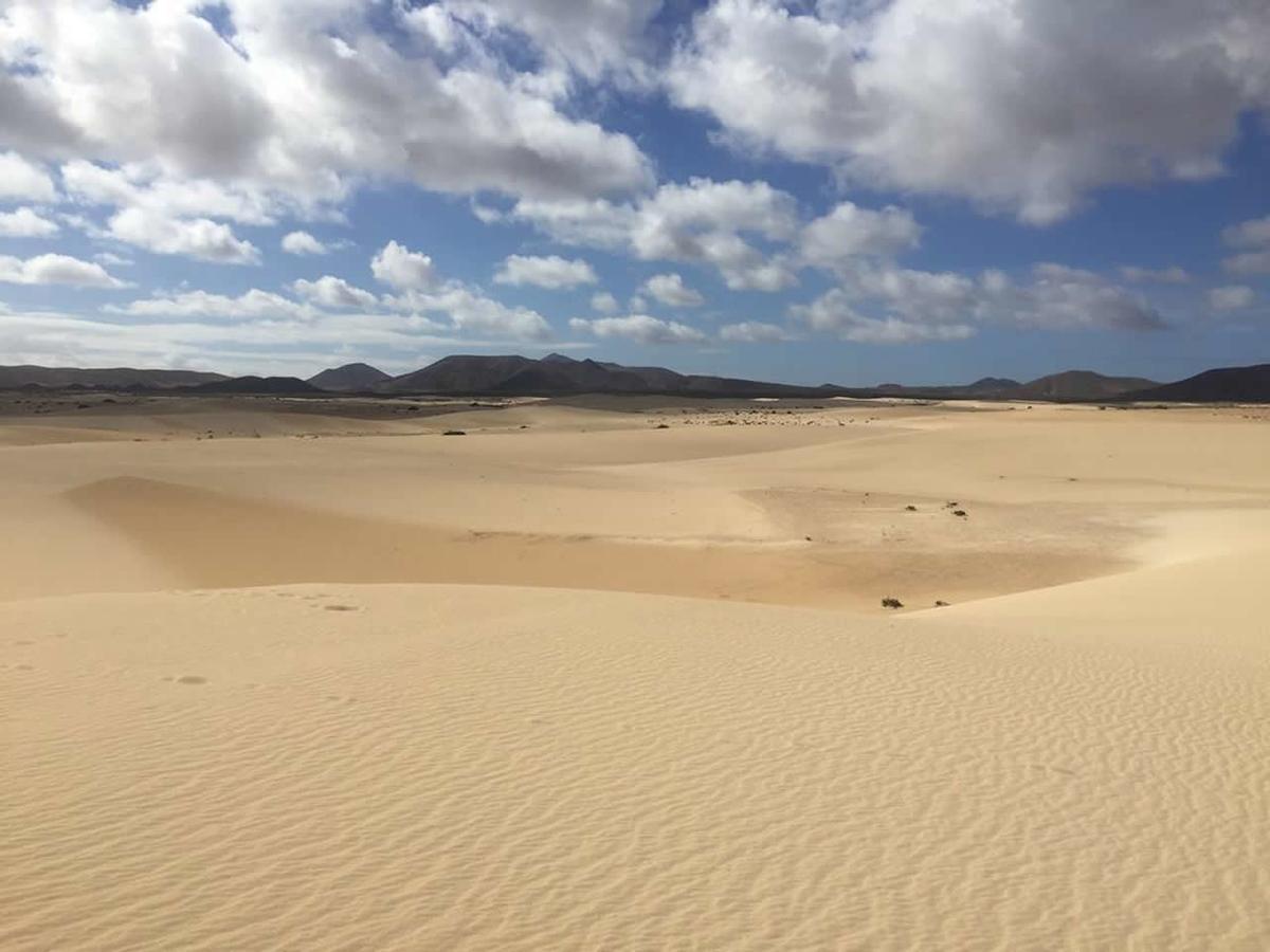 Gbh Volcanic Beach La Oliva Eksteriør bilde